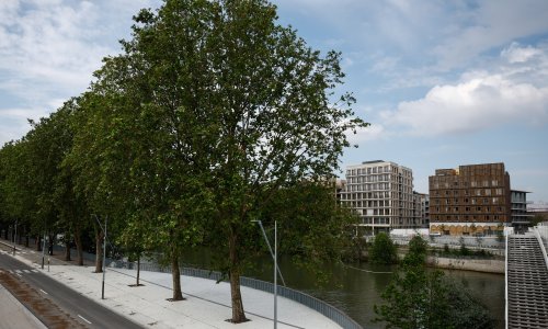 Pogledajte kako će u Parizu izgledati najzelenije Olimpijsko selo do sada