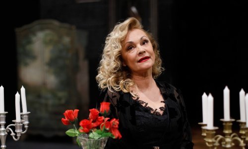 Anja Šovagović Despot osvanula u zanimljvom izdanju: 'Što kažete na frizuru?'