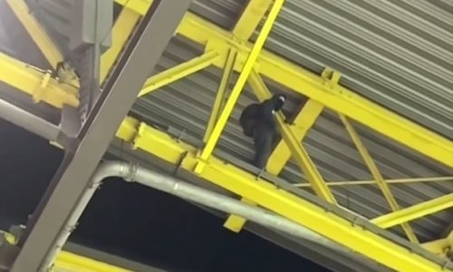 Drama na utakmici Njemačke i Danske: Policija s pištoljima naganjala maskiranog muškarca!