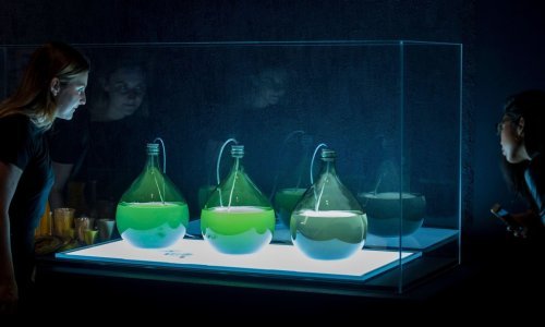 Ne pomaže samo AI u gorućim pitanjima: Ovo je deset najboljih tehnologija u razvoju