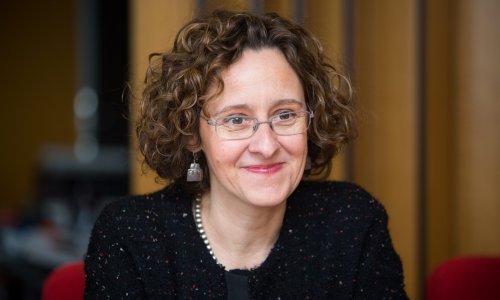 'Pitanje zajedničkog jezika je politički konstrukt iz '45. i nije nikad zaživio'