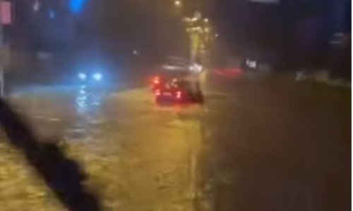 Nevrijeme poharalo Beograd: Stablo palo na autobus, putnici ostali zarobljeni