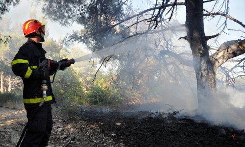 Ugašen požar borove šume na Mljetu, gasilo ga 12 vatrogasaca s četiri vozila