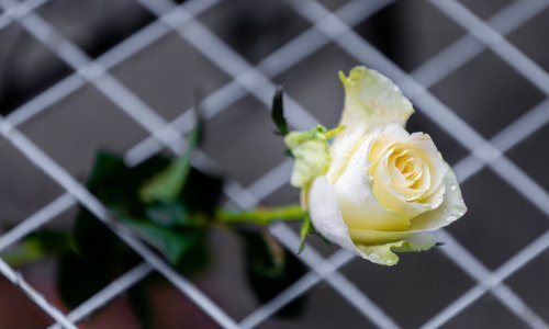 Osuđen vlasnik streljane u kojoj je dječak ubojica iz Beograda naučio pucati