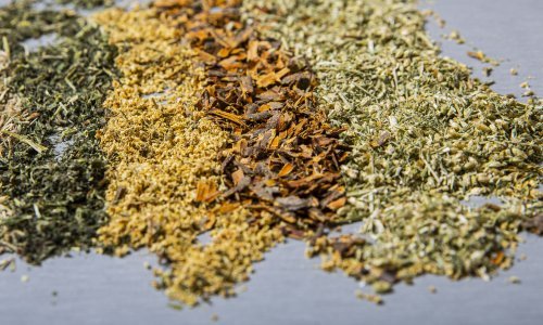 Dalmacija ima ogroman potencijal za uzgoj ljekovitog bilja: 'Ovo je tek početak'