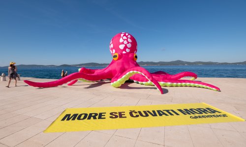 Greenpeace u akciji: Ovoj temi treba dati prioritet