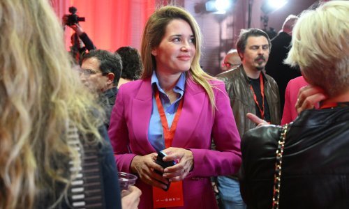 Lana Pavić više nije potpredsjednica Centra Ivice Puljka