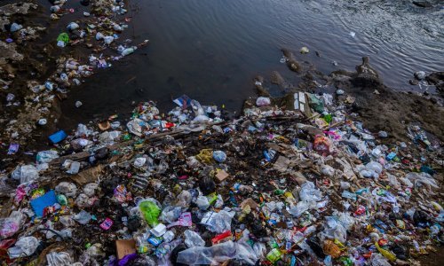 Šokantno otkriće: Mikroplastika pronađena i u muškim spolovilima