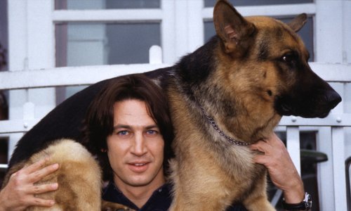 Pogrešna odluka koštala ga je karijere: Pogledajte kako danas izgleda zvijezda serije 'Inspektor Rex'