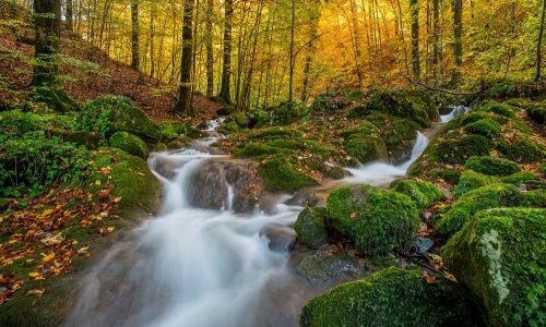 Tajna Zelene rute: Zašto je ova destinacija idealna za obiteljski izlet?