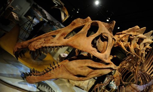 Težio je 900 kilograma: Fosil dinosaura otkriven na britanskom otoku