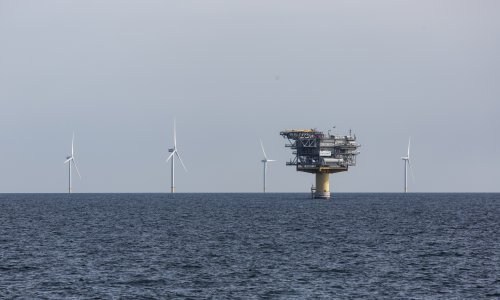 Morski vjetroparkovi: Revolucija u proizvodnji svježe hrane