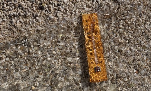 Kako se uopće rashladiti? Pogledajte temperature mora na različitim lokacijama