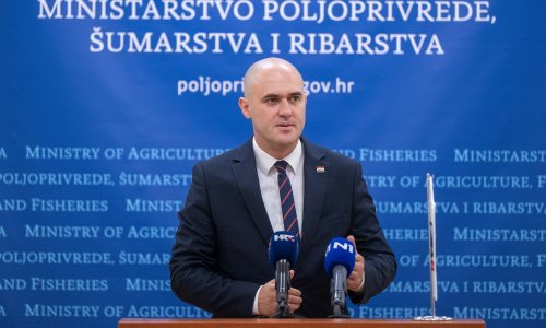 Vratila se afrička svinjska kuga: Dabro najavio presicu, evo gdje je otkriven prvi slučaj