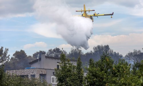 Požar u Podgori ugasilo 70 vatrogasca, izgorjeli maslinici