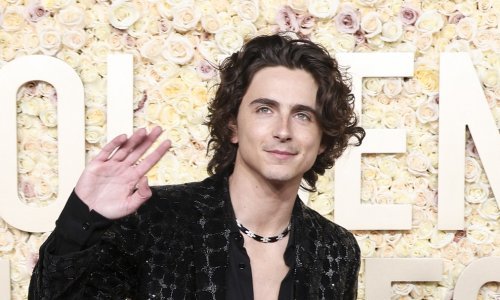 Otkriveno pravo lice Timothea Chalameta: Miljenik Hollywooda zapravo je razmaženo derište