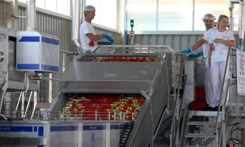 U Varaždinu otvoren Podravkin pogon za preradu rajčice