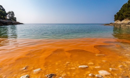 Sjeverni Jadran pun sluzavih nakupina: Stručnjaci otkrivaju o čemu je riječ