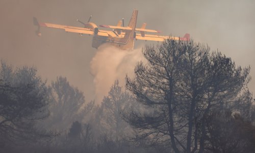 Strašan požar kod Trogira, izgorjelo 35 hektara terena. Stigli i kanaderi