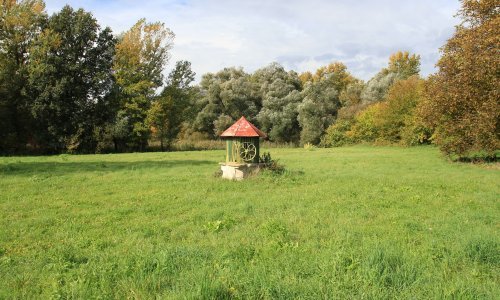 Usred toplinskog vala: Središte bunjevačkih Hrvata ostaje bez vode