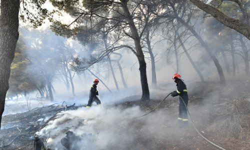 Ugašen požar kod Trogira koji je planuo u četvrtak