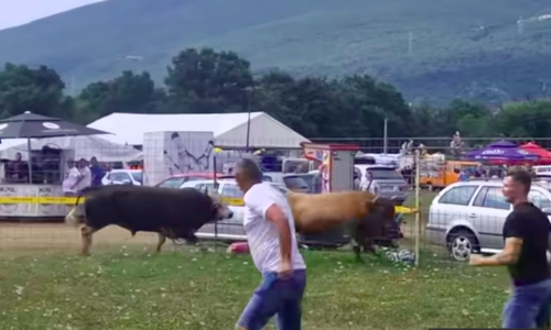 Bik u kod Posušja uletio u publiku, ljudi su u panici bježali