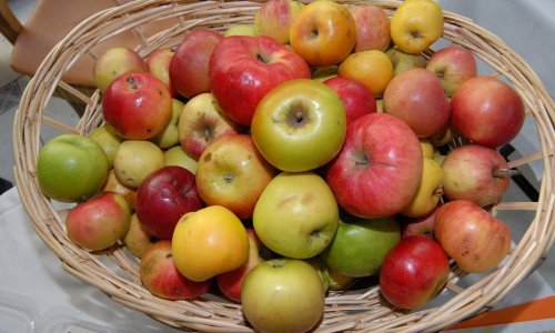 Teška vremena za voćare: Hoćemo li ove godine jesti skupe jabuke?