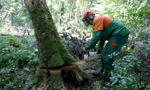 Provjerite tko sve ima pravo na beneficirani radni staž i ranije umirovljenje