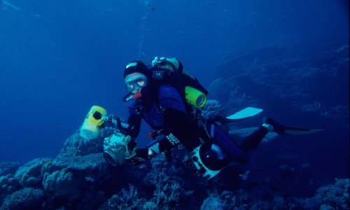 Olupina krcata šampanjcem i porculanom otkrivena na dnu Baltika