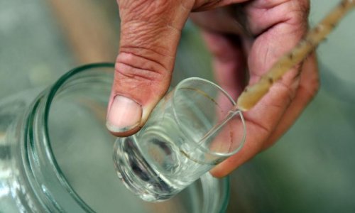 Hrvati ispekli rakije vrijedne 4,6 milijuna dolara