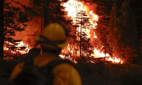 Golemi požar hara sjeverom Kalifornije, evakuirane tisuće ljudi