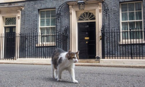 'Pravi' britanski premijer dočekao svog šestog stanara u Downing Streetu