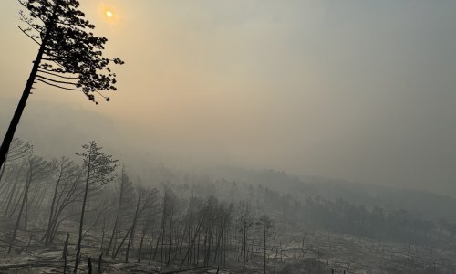 Pogledajte apokaliptične prizore iz Parka prirode Biokovo