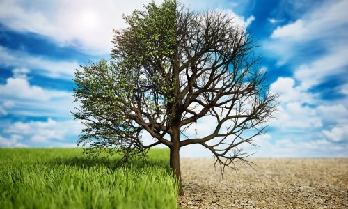 Poljoprivrednici na udaru klimatskih promjena. Kako se prilagoditi?