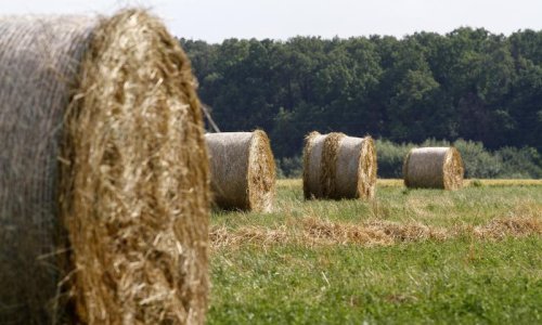 Vozio se na balama sijena u prikolici, pao i preminuo
