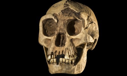 Pronađen dokaz da su 'hobiti' lutali indonezijskim otokom prije 700.000 godina