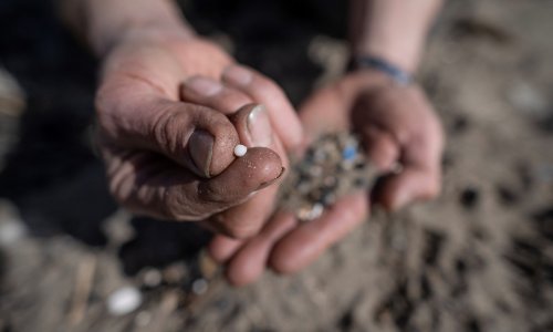 Svaki tjedan pojedete kreditnu karticu: Kakav je utjecaj mikroplastike na zdravlje?