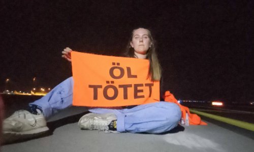 Ekološki aktivisti lijepe se po pistama i zrakoplovima u Njemačkoj