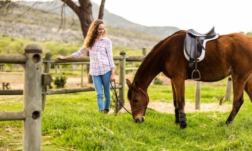 Impozantni, plemeniti i inteligentniji nego što se mislilo: Evo što su novo znanstvenici otkrili o konjima