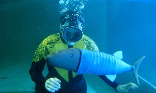 U istraživanju jednog od najvećih svjetskih misterija mogla bi pomoći – robotska riba Eva