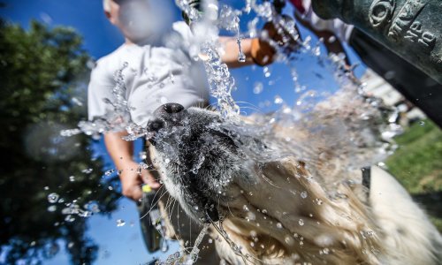 Vrućina lani prouzročila nevjerojatan broj smrti u Europi, neke države prednjače