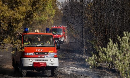 Požar kod Kraljevice stigao do kuća