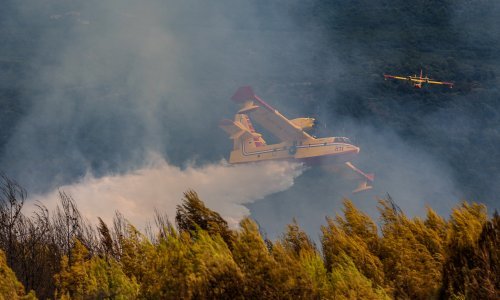 Kod Svetvinčenta planuo šumski požar