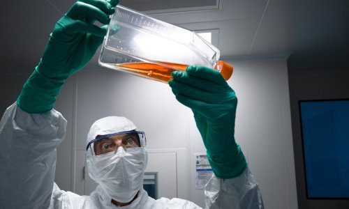 Je li ovo drugi COVID? U EU stigao OROV virus, evo odakle