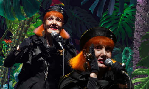 Koncert za pamćenje: Josipa Lisac u Beogradu izazvala oduševljenje publike