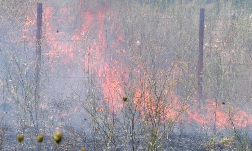 Policija uhitila piromana, jedan vatrogasac se otrovao od dima