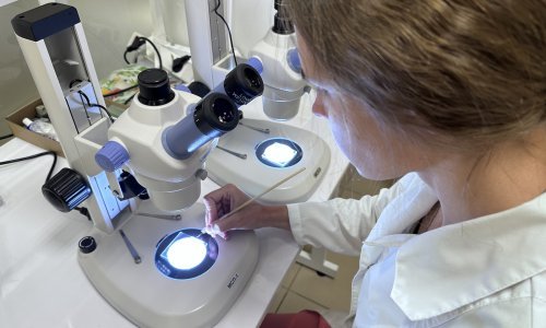 U Njemačkoj i Austriji izbila epidemija, deseci djece u bolnici, proizvod se prodavao i u Hrvatskoj