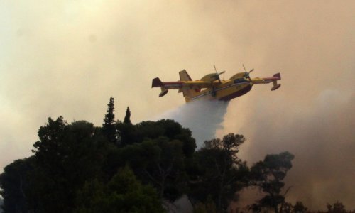 Požar kod Buja gasilo 30-ak vatrogasaca i dva kanadera