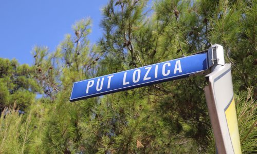 Detalji nesreće na Viru: Vozač koji je pokosio peteročlanu obitelj bio je pijan