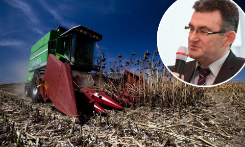 Farmeri na mukama, suša spržila prinose: Dva mjeseca nije pala ni kap kiše, ima samo jedno rješenje